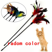 Load image into Gallery viewer, Funny Feather Spring Kitten Cat Toy Feather Rod Teaser Bell Bead