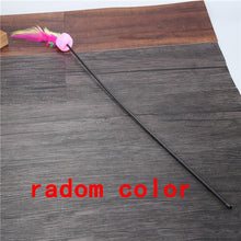 Load image into Gallery viewer, Funny Feather Spring Kitten Cat Toy Feather Rod Teaser Bell Bead