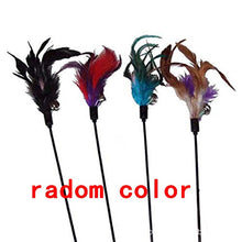 Load image into Gallery viewer, Funny Feather Spring Kitten Cat Toy Feather Rod Teaser Bell Bead