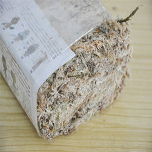 Load image into Gallery viewer, Sphagnum Moss Nutrition Organic