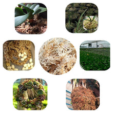 Load image into Gallery viewer, Sphagnum Moss Nutrition Organic