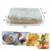 Load image into Gallery viewer, Sphagnum Moss Nutrition Organic