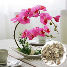 Load image into Gallery viewer, Sphagnum Moss Nutrition Organic