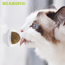 Load image into Gallery viewer, Natural Catnip Toys For Cats Treating Cleaning Teeth