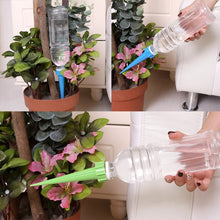 Load image into Gallery viewer, Automatic Watering Garden