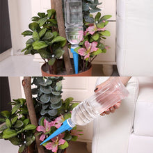 Load image into Gallery viewer, Automatic Watering Garden