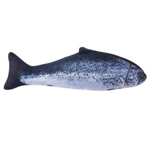 Load image into Gallery viewer, Pet Soft Plush Creative 3D Carp Fish Shape