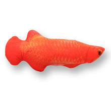Load image into Gallery viewer, Pet Soft Plush Creative 3D Carp Fish Shape