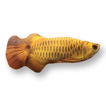 Load image into Gallery viewer, Pet Soft Plush Creative 3D Carp Fish Shape