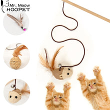 Load image into Gallery viewer, Pet Cat Toy Teaser Multi Color Bird Feather