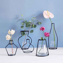 Load image into Gallery viewer, Creative Iron Vase Planter Rack Flower Pots Shelf Soilless Pots