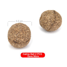 Load image into Gallery viewer, Natural Catnip Toys For Cats Treating Cleaning Teeth