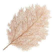 Load image into Gallery viewer, Creative Coral Leaf Plastic Placemat Cup Mats Pads Non-slip