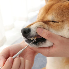 Load image into Gallery viewer, Pet Tooth Cleaning Tool