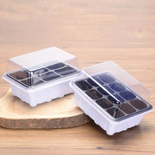 Load image into Gallery viewer, Nursery Pots Planting Seed Tray