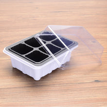 Load image into Gallery viewer, Nursery Pots Planting Seed Tray