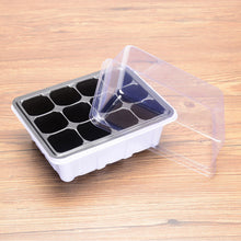 Load image into Gallery viewer, Nursery Pots Planting Seed Tray