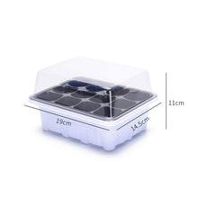 Load image into Gallery viewer, Nursery Pots Planting Seed Tray