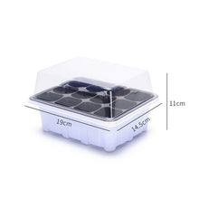Load image into Gallery viewer, Nursery Pots Planting Seed Tray