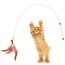 Load image into Gallery viewer, Cat Interactive Toy Stick Feather Wand With Small Bell Mouse Cage Toys