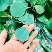 Load image into Gallery viewer, Artificial Ivy Leaf Eucalyptus